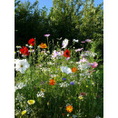 Blumenwiese "Passion" 30m²